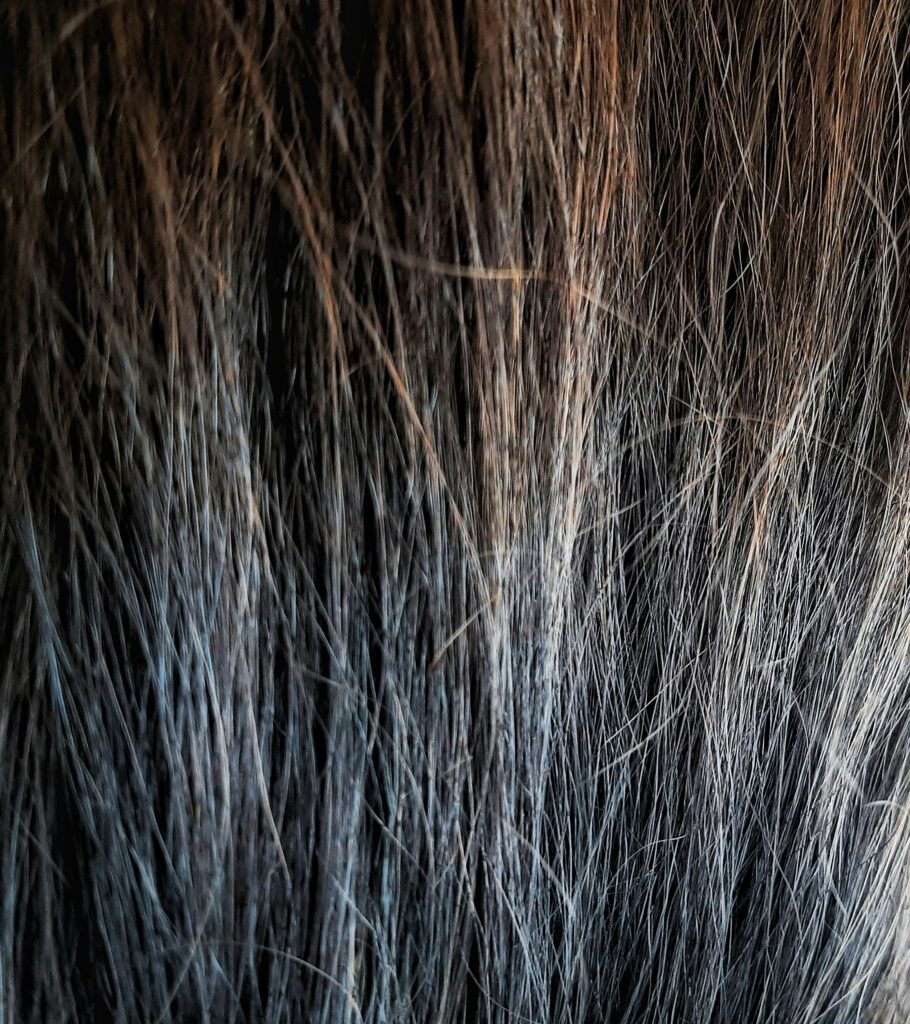 como hidratar el pelo